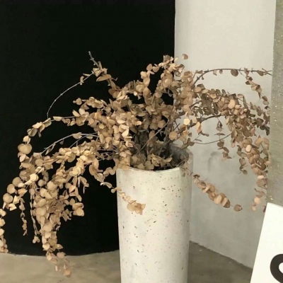 兽设天空场景绘制FurryQQ群